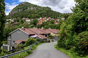 Bærum Heggelia 230801.jpg