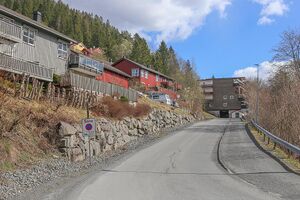 Bærum Helsethellinga 240420.jpg