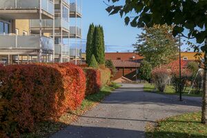 Bærum Hjorthehaven 231019.jpg