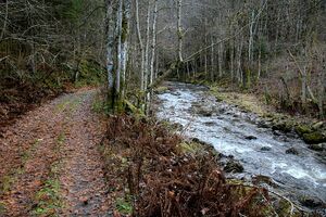 Bærum Isielva 191103.jpg