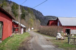 Bærum Isigrenda 240430.jpg