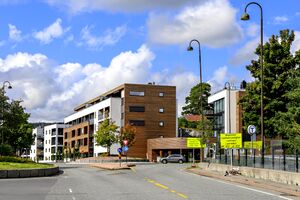 Bærum Jens Rings vei 230805.jpg