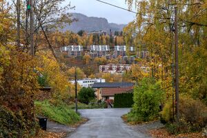 Bærum Jong 231024.jpg