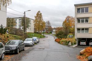 Bærum Jongssvingen 231024.jpg