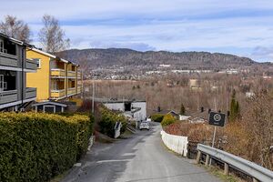 Bærum Kalveløkka 240413.jpg