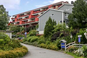 Bærum Kantarellgrenda 230725.jpg