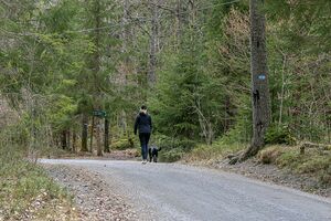 Bærum Knabberudveien 240420.jpg