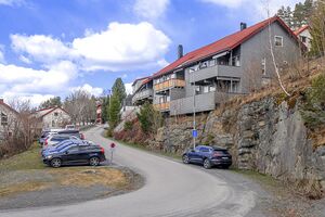 Bærum Linderudlia 240420.jpg