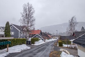 Bærum Mellomskarva 240325.jpg