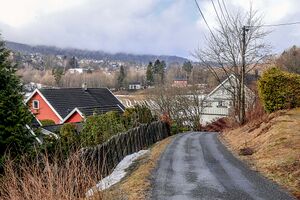 Bærum Muserudbakken 240331.jpg