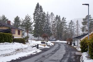 Bærum Nordskarva 240325.jpg