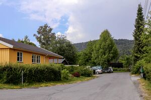 Bærum Skoguls vei 230626.jpg