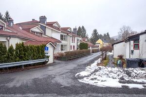 Bærum Sleiverudlia 240325.jpg