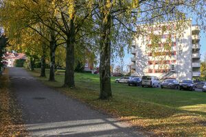 Bærum Tobias Kupfers vei 231019.jpg