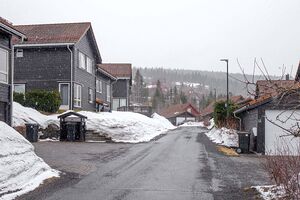 Bærum Trulsrudlia 240325.jpg