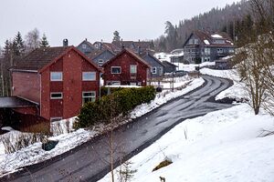 Bærum Trulsrudskogen 240325.jpg