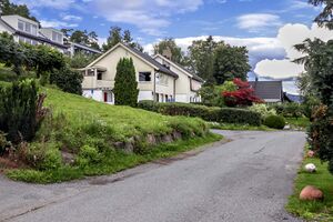 Bærum Tveterlia 230810.jpg