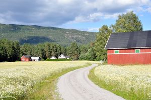 Bø, Øygardsvegen-1.jpg