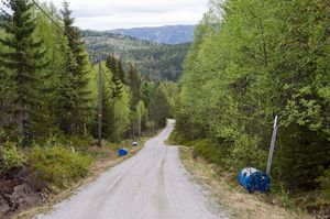 Bø, Almedalsvegen-1.jpg