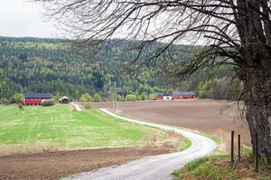 Bø, Gravevegen-1.jpg