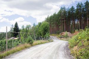 Bø, Hegnunvegen-1.jpg