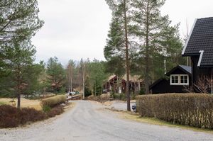 Bø, Løvskeidåsen-1.jpg