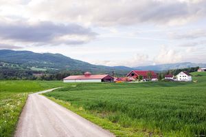 Bø, Midtbøvegen-1.jpg