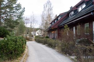 Bø, Midtre Borgvin-1.jpg