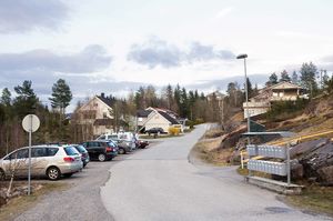 Bø, Nedre Borgvin-1.jpg