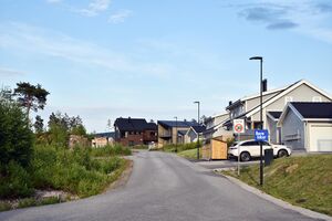 Bø, Nordbølia-1.jpg