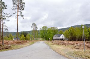 Bø, Sandamoen-1.jpg