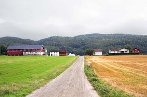 Bø, Skoevegen-1.jpg
