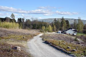 Bø, Stugumoen-1.jpg