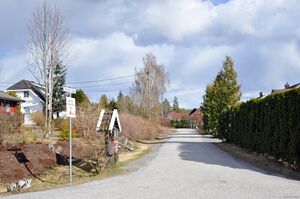 Bø, Torvills veg-1.jpg