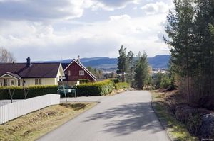 Bø, Trytetjønnvegen-1.jpg