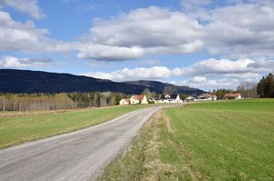 Bø, Vinbekkvegen-1.jpg