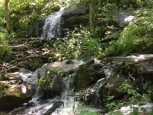 Bølerbekken.jpg