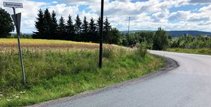 Bølerveien fra Trondheimsveien.JPG