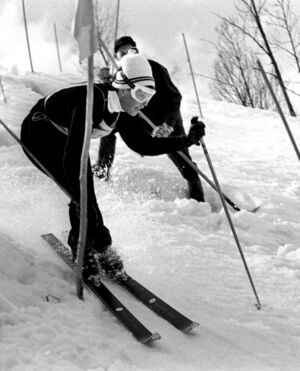 B17 BLÅVEISRENNET.jpg