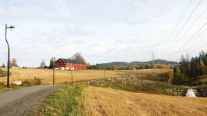 Baarli i Loerenskog LL028.jpg