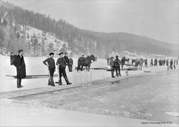 BÅRSRUDTJERNET 1904. Isskjærere og hester med sleder i arbeid (de lange sledene ble kalt slådder). Mannen lengst til venstre er Adam Baarsrud. (Bilde fra Røyken Historielag, Fotograf Johan K A Foss)
