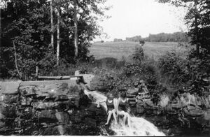 Bading i Fiskumelva (sf2041).jpg