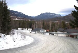 Bakkevegen Veggli 2016.JPG