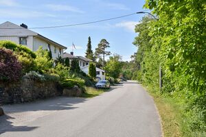 Bamble, Furukollen-1.jpg