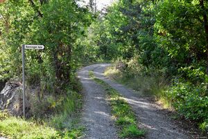 Bamble, Rønningen Heia-1.jpg