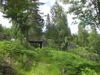 Bandakslihekti. Foto: Olav Momrak-Haugan (2011).