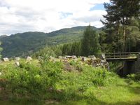 Bandakslihekti. Foto: Olav Momrak-Haugan (2011).