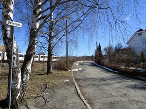 Baneveien Oslo 2015.jpg