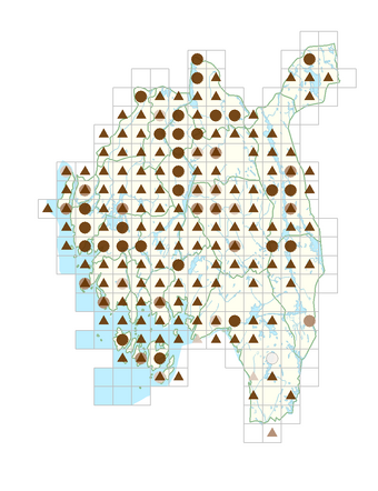 Barbarea vulgaris.png