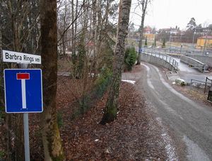 Barbra Rings vei Bærum 2015.jpg